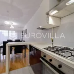 Rent 1 bedroom apartment of 59 m² in Zagreb