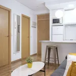 Rent 1 bedroom apartment of 38 m² in madrid