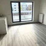 Rent 1 bedroom apartment of 40 m² in Brno