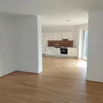 Rent 5 bedroom apartment of 135 m² in Graz