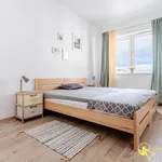 Rent 3 bedroom apartment of 60 m² in Łódź