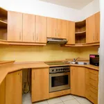 Rent 1 bedroom apartment of 40 m² in prague