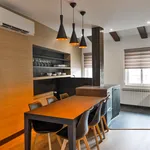 Rent 4 bedroom apartment of 160 m² in Capital City of Prague