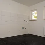 Rent 2 bedroom apartment of 67 m² in Essen