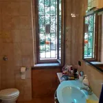 Rent 3 bedroom apartment of 70 m² in Bologna