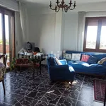 Rent 3 bedroom apartment of 85 m² in Pisa