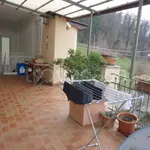 Rent 1 bedroom apartment of 28 m² in Turin