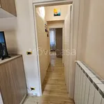 Rent 2 bedroom apartment of 46 m² in Torino