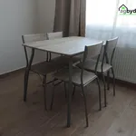 Rent 2 bedroom apartment of 49 m² in Dnešice