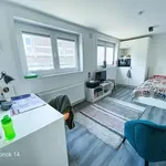 Rent 1 bedroom apartment in Leuven