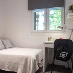 Rent a room in madrid