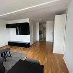 Rent 1 bedroom apartment of 33 m² in Szczecin