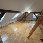 Rent 1 bedroom apartment of 45 m² in České Budějovice