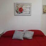 Rent 1 bedroom apartment of 60 m² in turin