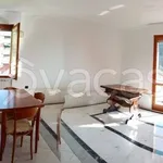 Rent 7 bedroom apartment of 84 m² in Genova