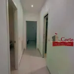 Affitto 3 camera appartamento di 70 m² in Paderno Dugnano