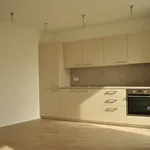 Rent 1 bedroom apartment of 66 m² in Renon