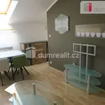 Rent 1 bedroom apartment in Zlín