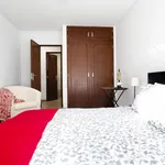 Rent 1 bedroom apartment in Lisbon