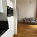 Rent 1 bedroom apartment of 45 m² in Torino