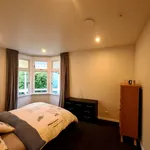 Rent 3 bedroom house in Dunedin