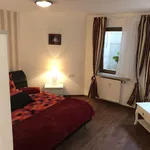 Rent 1 bedroom apartment of 45 m² in Sachsenheim