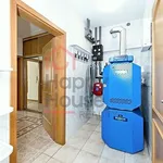 Rent 1 bedroom house of 280 m² in Prague