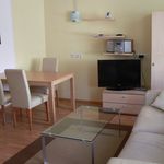 Rent 1 bedroom apartment of 47 m² in Dresden