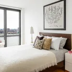 Rent 1 bedroom apartment in Manhattan