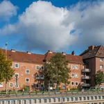 Rent 2 bedroom apartment of 51 m² in Kiel