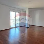 Rent 6 bedroom apartment of 110 m² in Lanciano