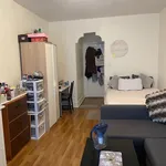 Rent 3 bedroom apartment in Midwood