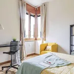 Rent a room in padua