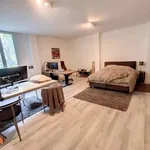 Maison de 260 m² avec 4 chambre(s) en location à Brussels