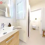 Rent 2 bedroom apartment of 49 m² in Trhový Štěpánov