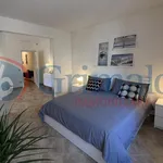 Rent 2 bedroom apartment of 50 m² in Livorno