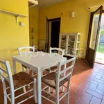 Rent 1 bedroom apartment of 30 m² in Sovicille