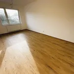 Rent 1 bedroom apartment in Prague