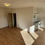 Rent 1 bedroom apartment in Beroun