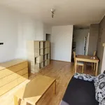 Rent 4 bedroom apartment of 43 m² in Prague