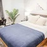 Rent 1 bedroom apartment in New York