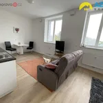 Rent 1 bedroom apartment of 36 m² in Přerov