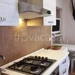 Rent 1 bedroom apartment of 33 m² in Torino