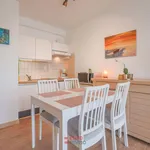 Rent 1 bedroom apartment in Nieuwpoort