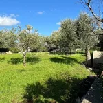 Rent 3 bedroom house of 150 m² in Monopoli