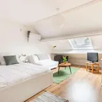 Kamer van 300 m² in brussels