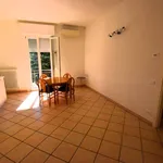 Rent 3 bedroom apartment of 100 m² in Imola