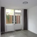 Huur 3 slaapkamer appartement van 65 m² in Leiden