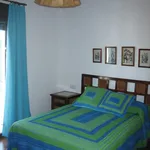 Rent 2 bedroom apartment of 65 m² in Cadiz']