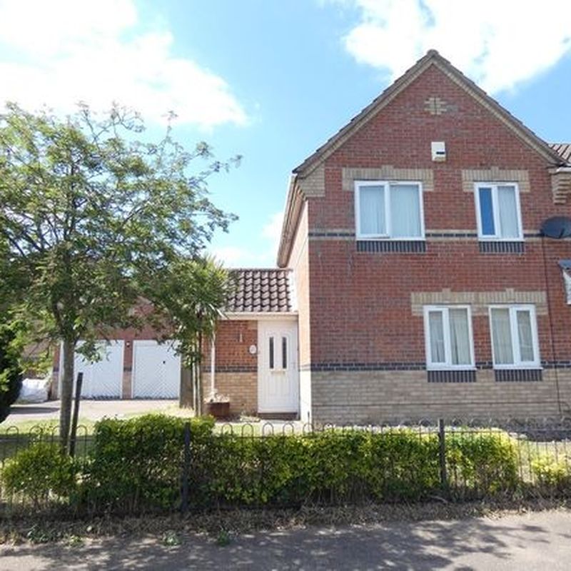 Semi-detached house to rent in Mallow Road, Thetford IP24